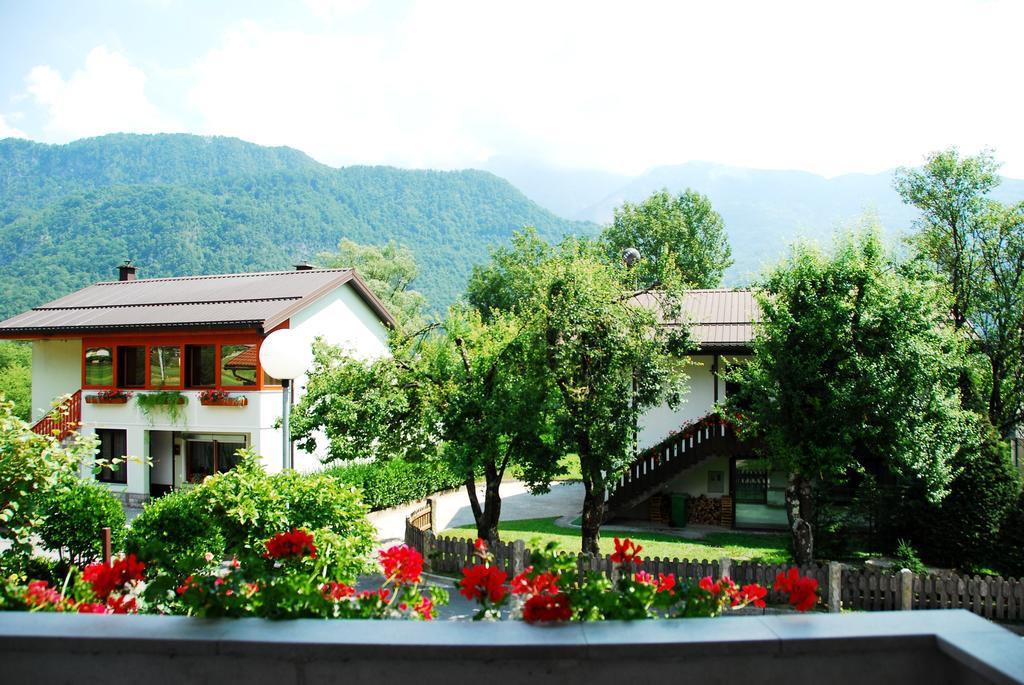 Budget Homestay Kobarid Cameră foto